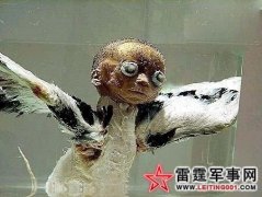 ���������ι��� ��֪����ʹ���Ƕ�ħ